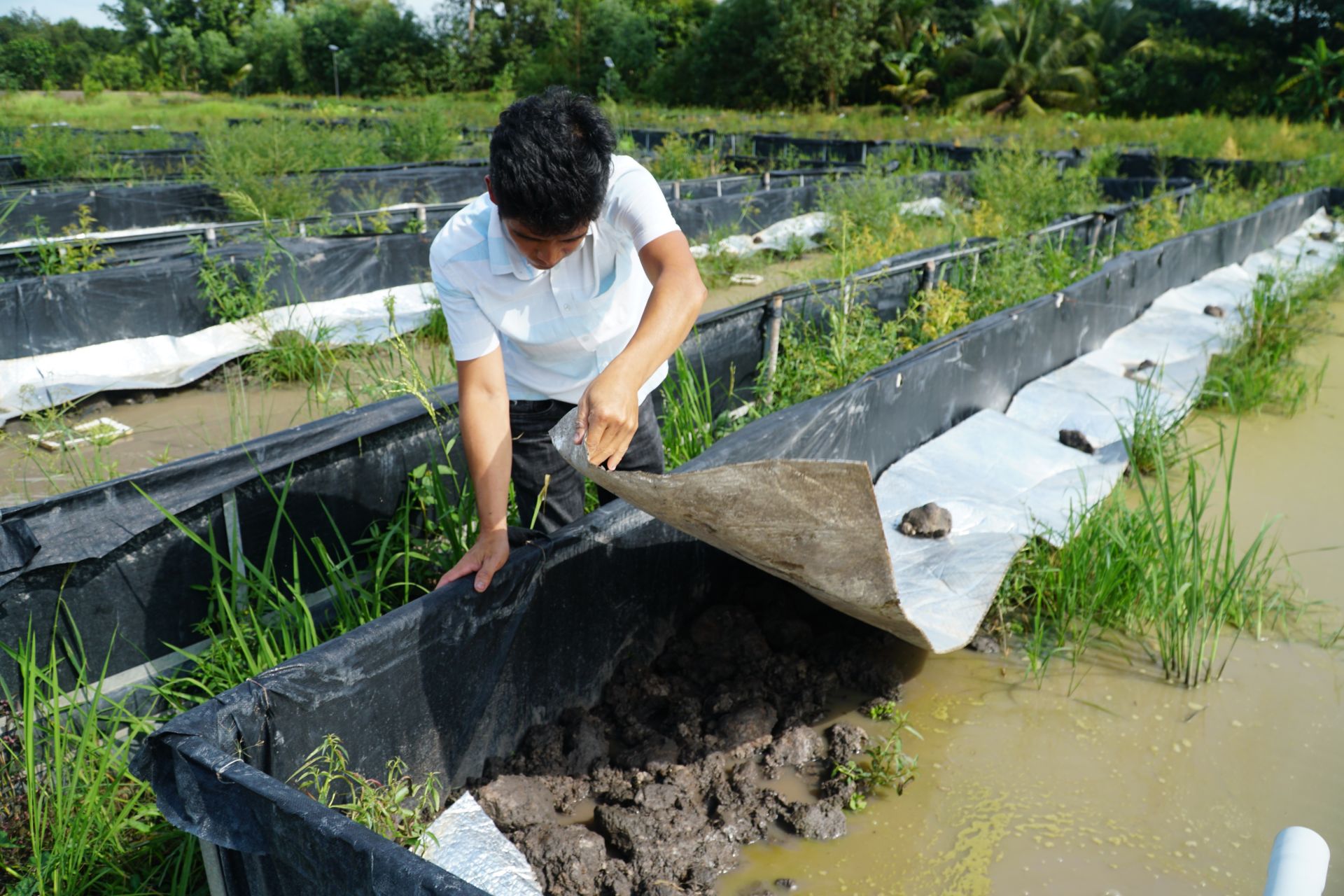 Mô hình nuôi lươn ven sông Vàm Cỏ Đông của anh nông dân Tây Ninh ai đến xem cũng trầm trồn, phục lăn - Ảnh 1.