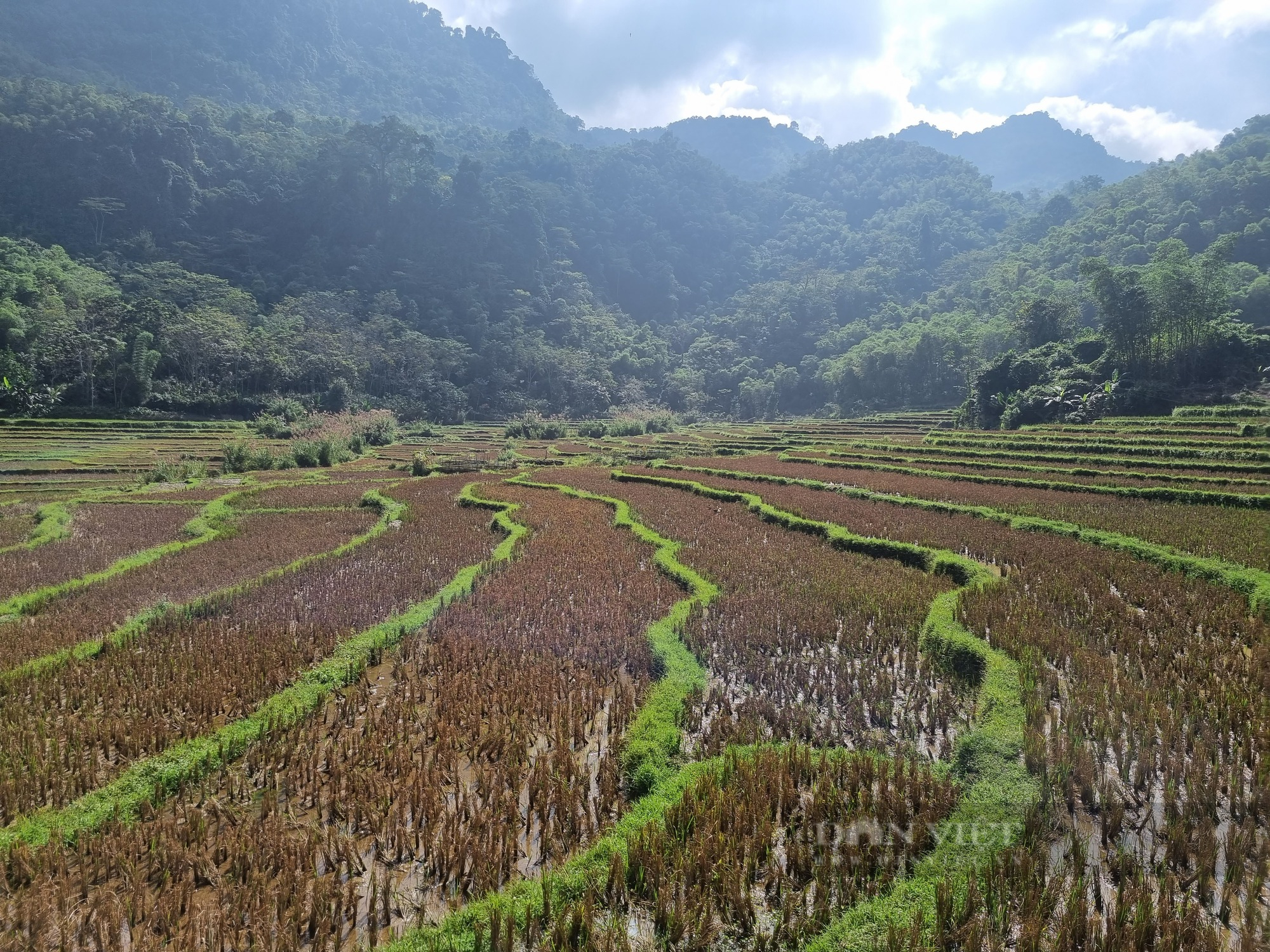 Cuộc sống khó khăn của người dân bản Đun Pù ở xứ Thanh  - Ảnh 5.