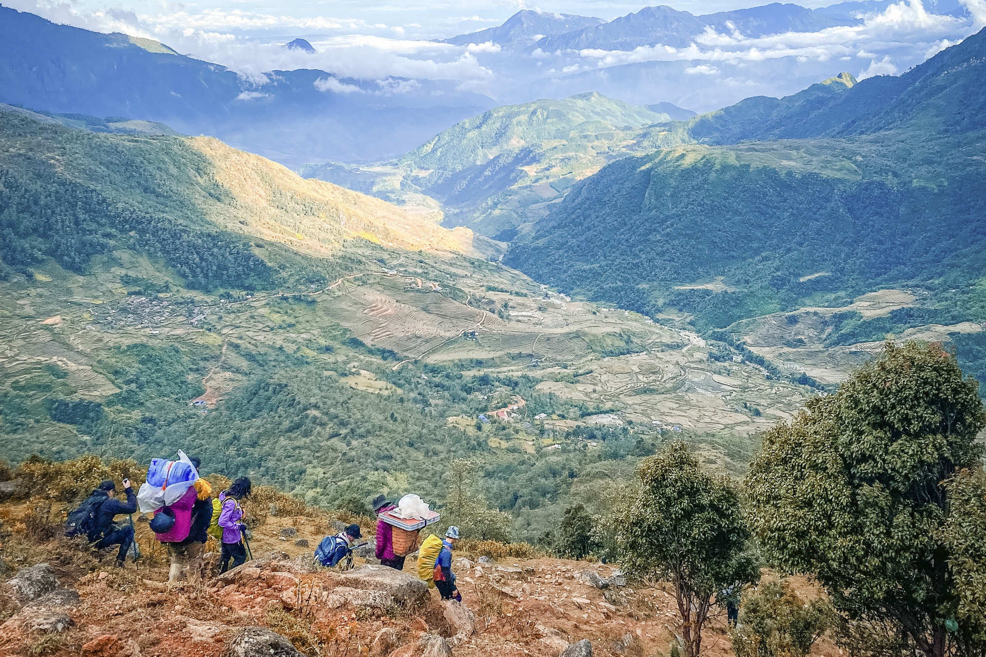Ngắm rừng già nguyên sinh với thảm thực vật đẹp như mơ tại đỉnh núi cao thứ 9 Việt Nam - Ảnh 1.