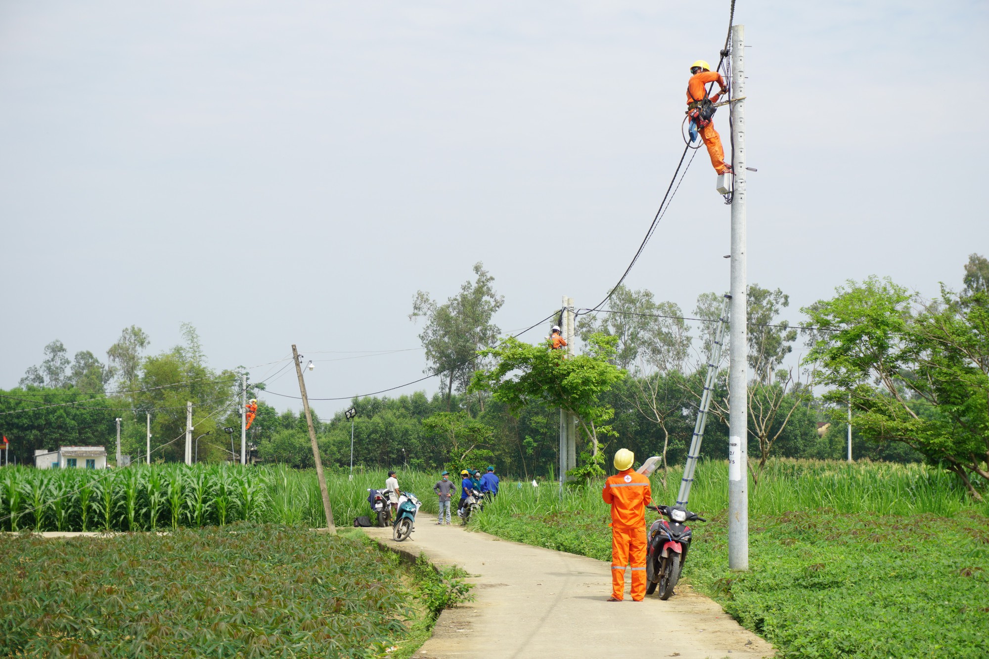 Công ty Điện lực Quảng Nam triển khai tháng tri ân khách hàng năm 2022 - Ảnh 4.