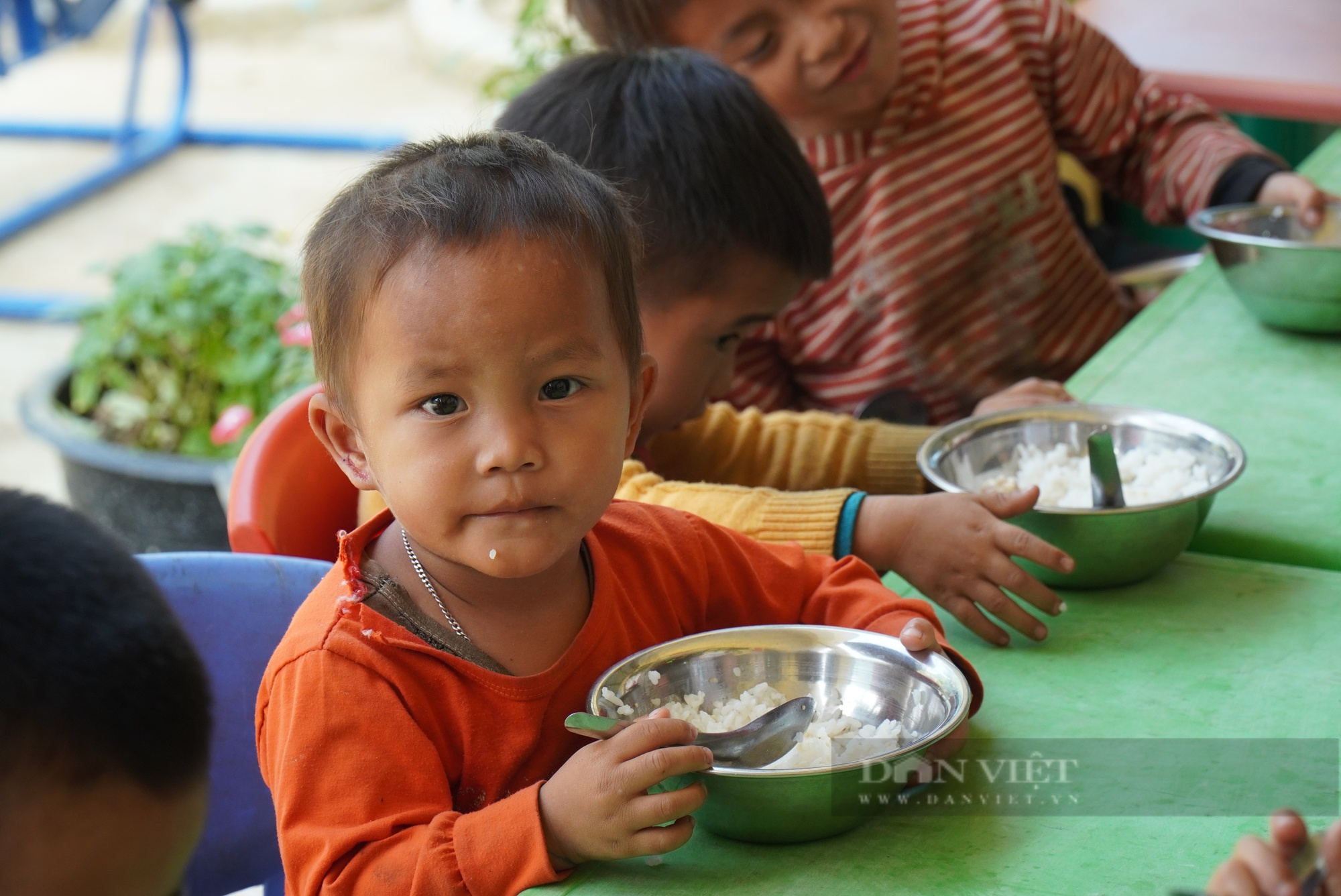 Nông nghiệp đảm bảo dinh dưỡng cho hộ nghèo: Cải thiện dinh dưỡng, nâng cao thể trạng, tầm vóc cho người Việt (Bài cuối) - Ảnh 4.