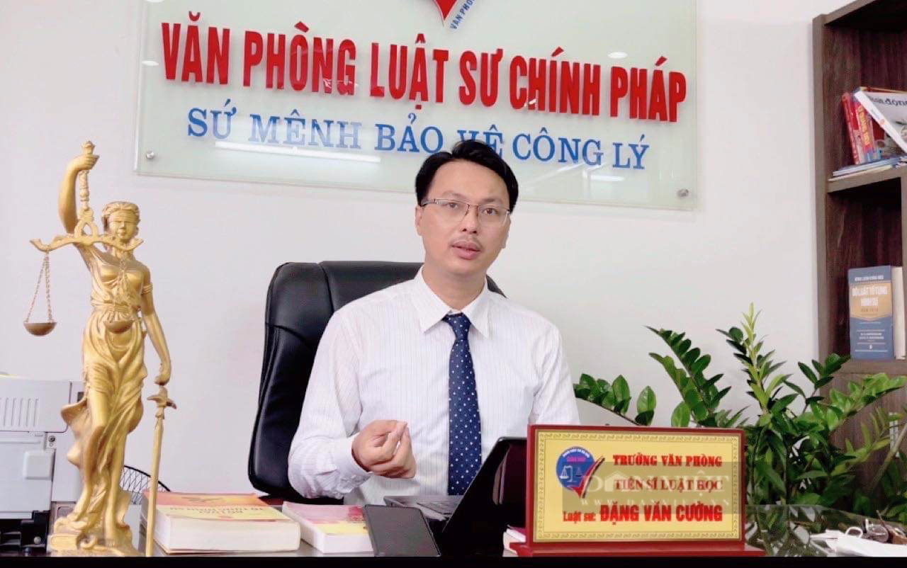  &quot;Mẹ ruột bạo hành con trai 6 tuổi tử vong là hành vi không thể dung thứ&quot; - Ảnh 3.