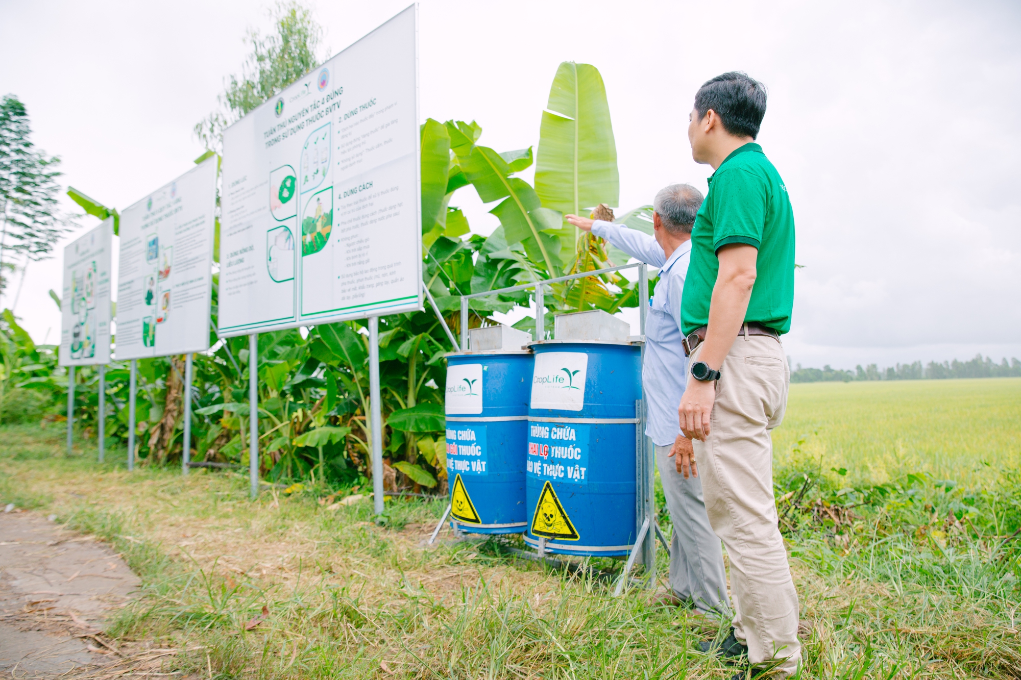 Chủ tịch CropLife Việt Nam: Hướng dẫn nông dân sử dụng thuốc gắn với quản lý dư lượng thuốc bảo vệ thực vật - Ảnh 4.