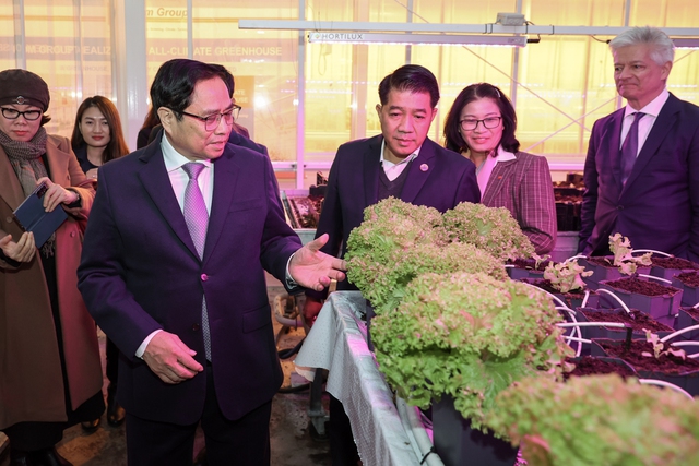 Tập đoàn De Heus và Hùng Nhơn ký kết MoU, hợp tác phát triển các dự án nông nghiệp công nghệ cao - Ảnh 3.