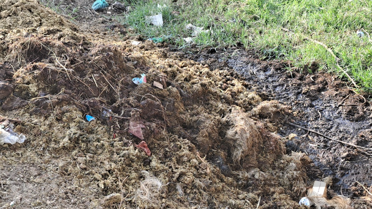 Thái Nguyên: Nhiều hộ dân khốn khổ vì lò mổ trâu bò không phép gây ô nhiễm môi trường - Ảnh 4.