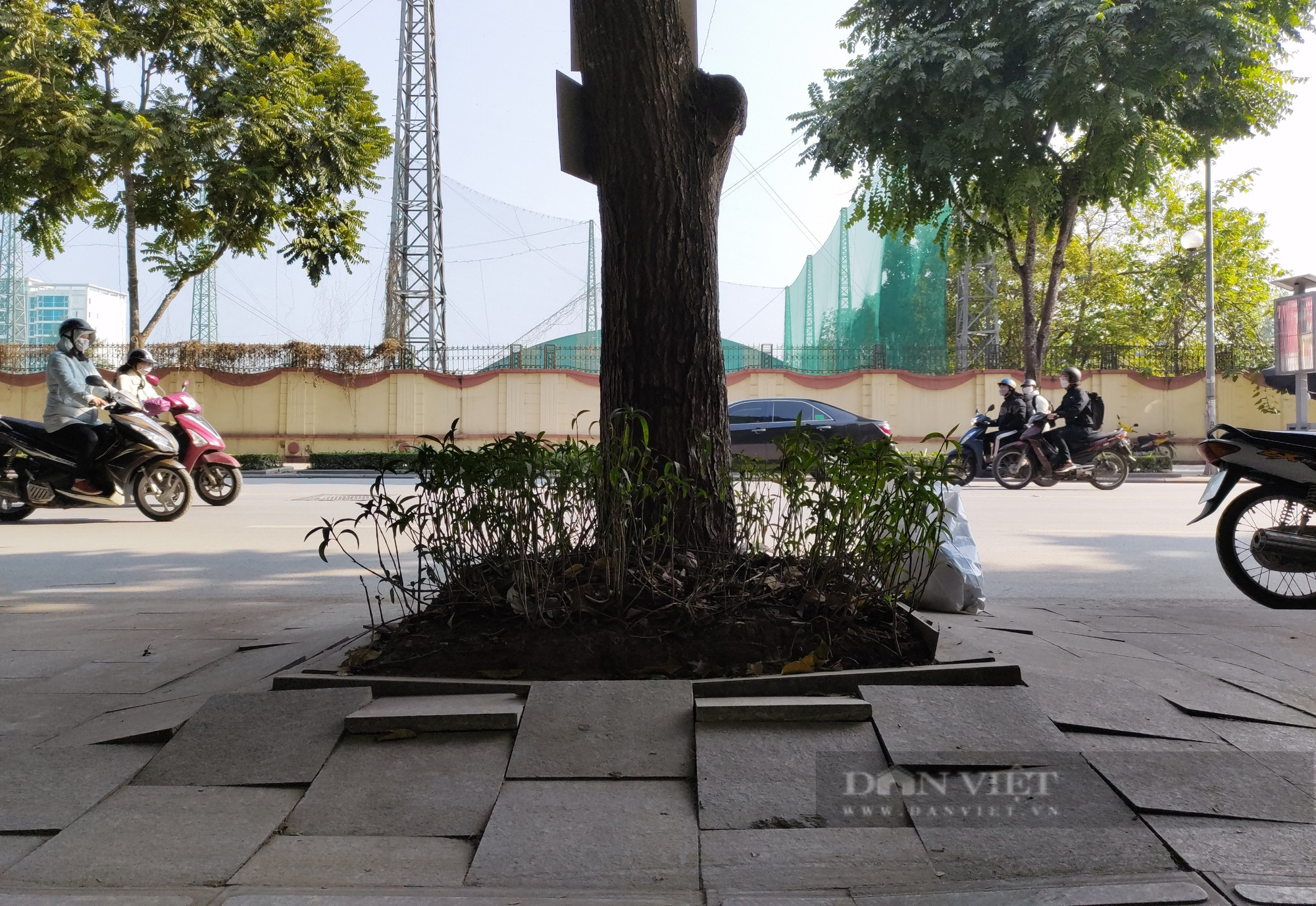 Đá tự nhiên có độ bền 70 năm vỡ nát trên con phố kiểu mẫu ở Hà Nội - Ảnh 10.