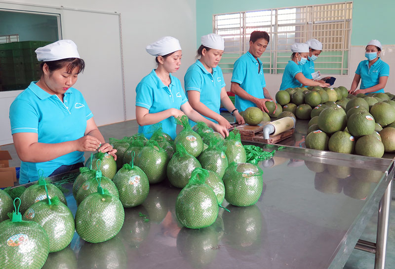 CEO Công ty Chánh Thu tiết lộ bí quyết “bẻ khóa” các thị trường xuất khẩu khó tính - Ảnh 3.