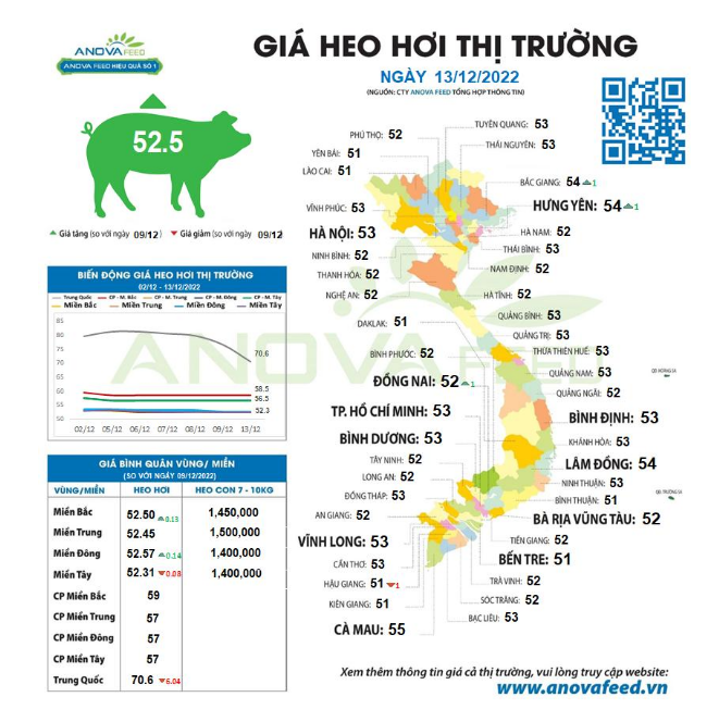 Giá lợn hơi vẫn chưa thể khởi sắc, giá lợn Trung Quốc cũng giảm sâu liên tiếp - Ảnh 1.