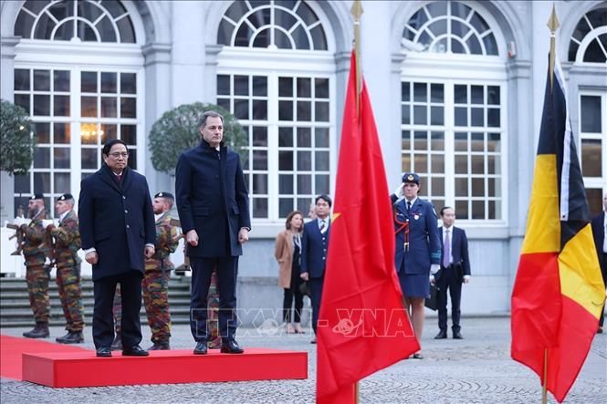 Thủ tướng Phạm Minh Chính khuyến khích các doanh nghiệp Bỉ đầu tư vào Việt Nam - Ảnh 3.