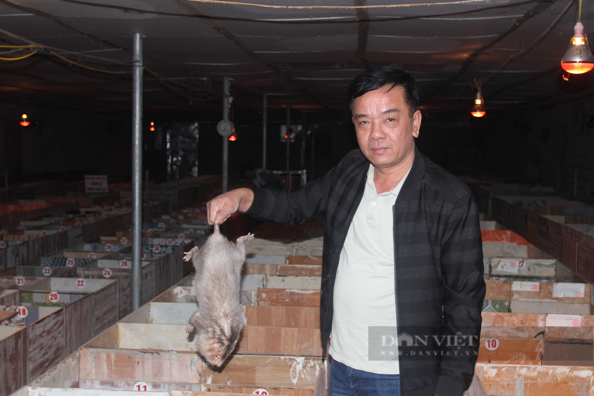 Sở hữu cả trang trại động vật hoang dã, anh nông dân Thái Nguyên thu bộn tiền mỗi năm - Ảnh 9.