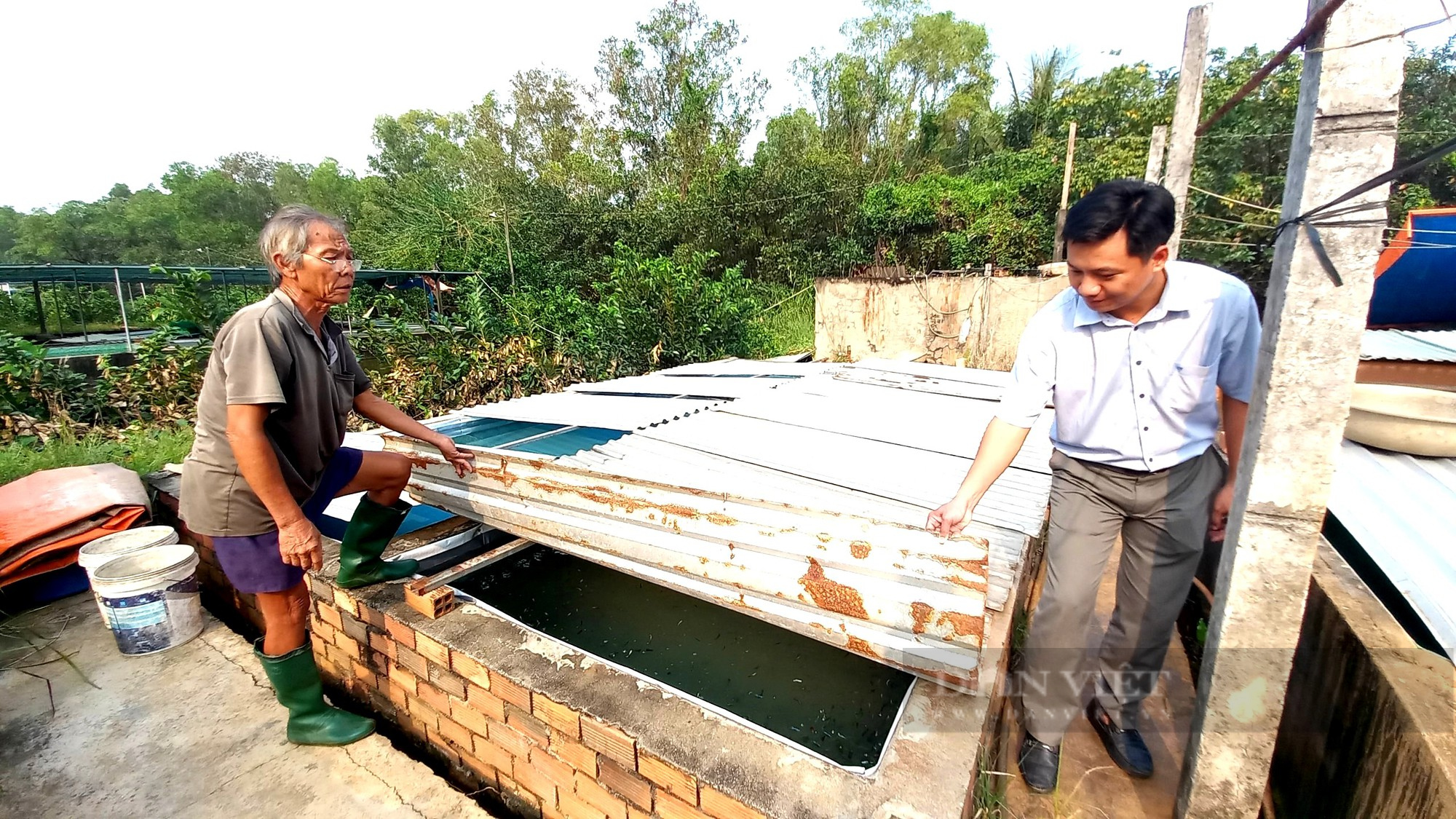 Nuôi loài cá hiếu chiến, đụng đâu đá đó, ông nông dân Sài Gòn đút túi 60 triệu đồng/tháng - Ảnh 6.