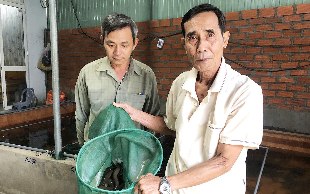 Ai ngờ nuôi con đặc sản cả đời trong bể xi măng ở phố núi Gia Lai nông dân lại giàu lên trông thấy