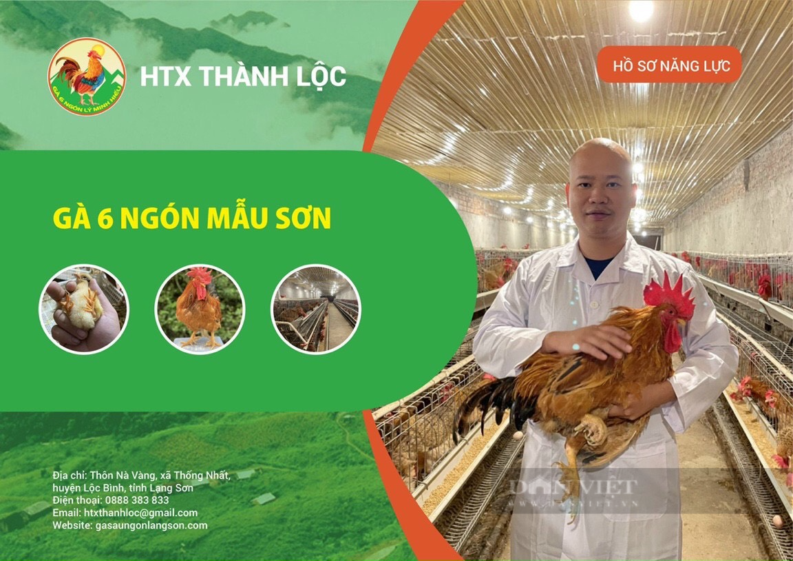 Đi bán cám chăn nuôi, thành ông chủ nuôi gà nức tiếng xứ Lạng   - Ảnh 1.