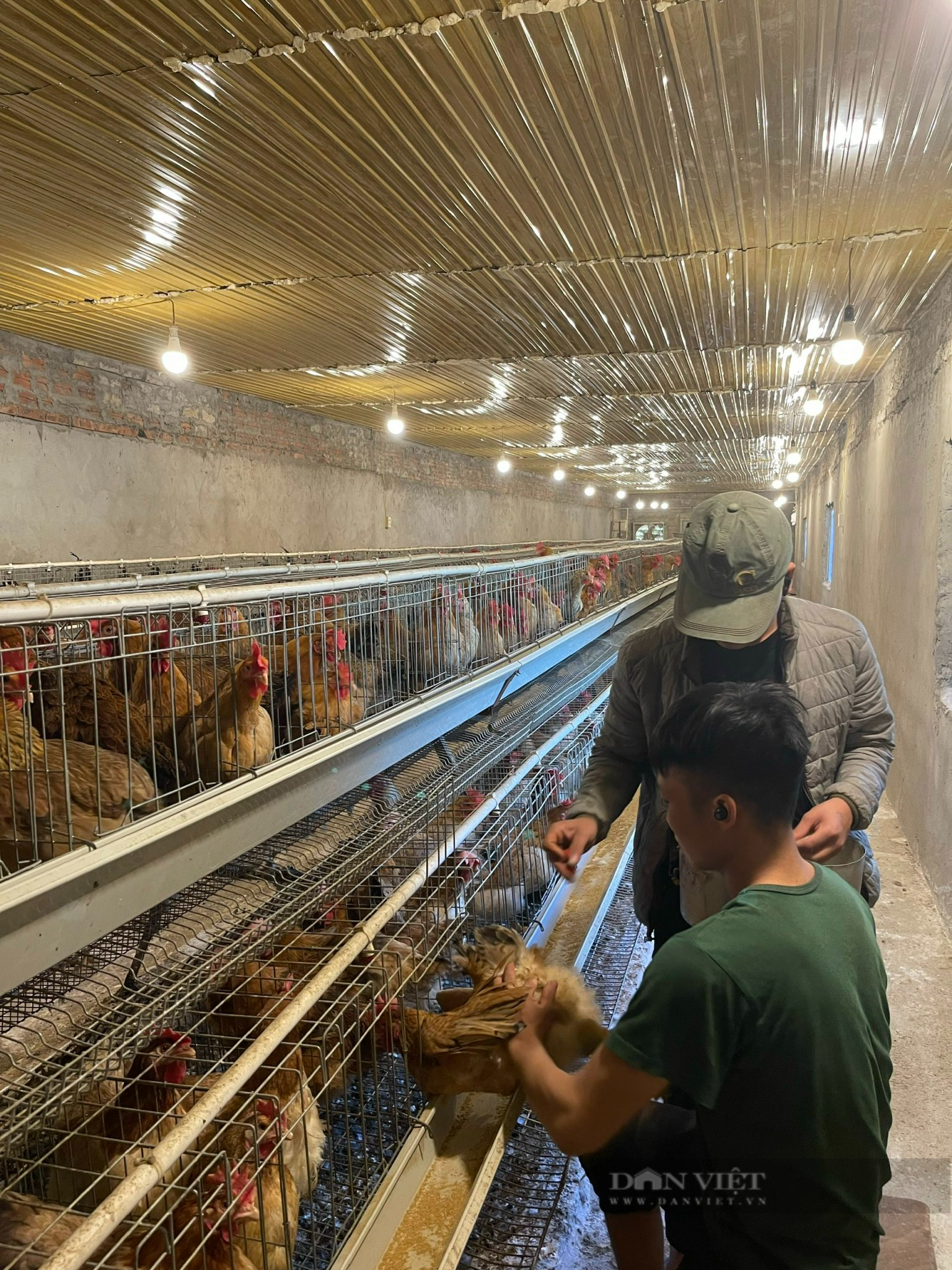 Đi bán cám chăn nuôi, thành ông chủ nuôi gà nức tiếng xứ Lạng   - Ảnh 4.