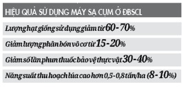 “Cách mạng” giảm lượng lúa giống từ máy sạ lúa theo cụm - Ảnh 3.