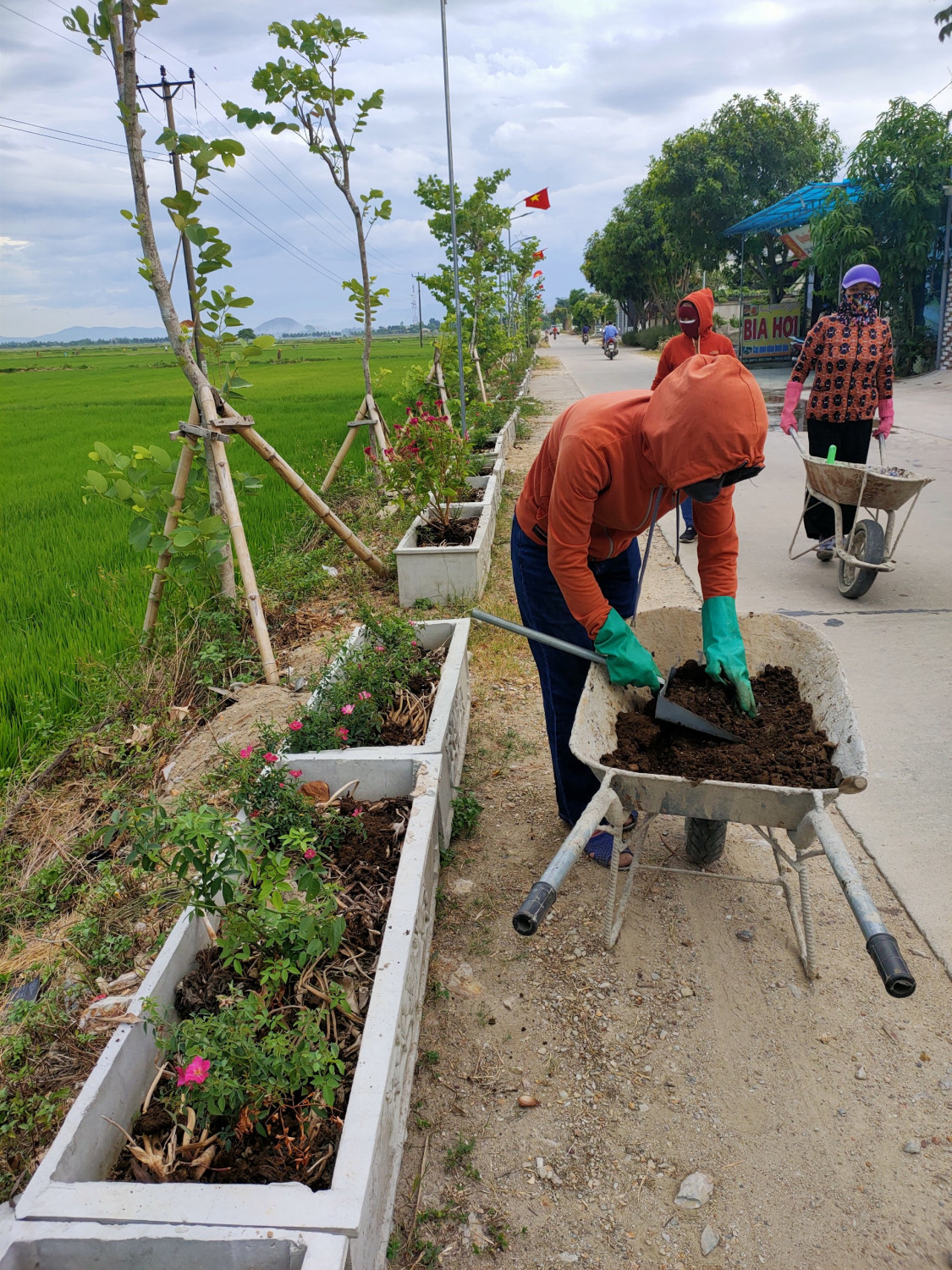 Trồng hoa ven đường nông thôn mới ở Nghệ An, cỏ dại biến mất, hoa hồng, hoa chiều tím tuôn màu, tỏa hương - Ảnh 4.