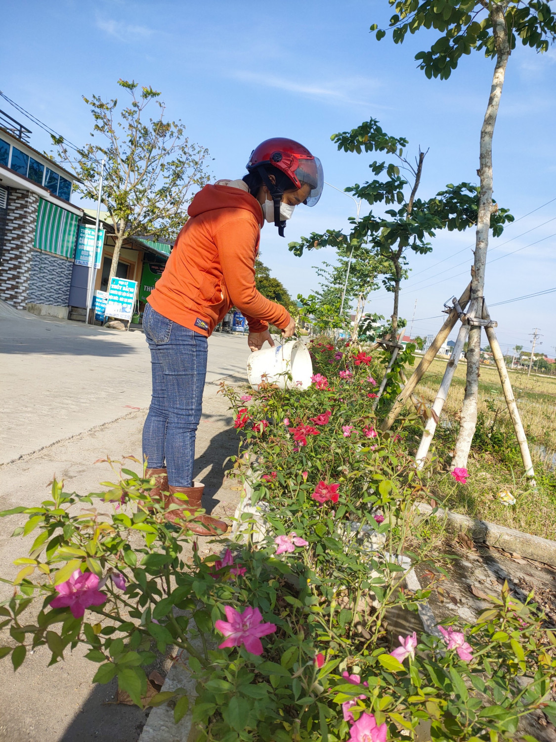 Trồng hoa ven đường nông thôn mới ở Nghệ An, cỏ dại biến mất, hoa hồng, hoa chiều tím tuôn màu, tỏa hương - Ảnh 2.