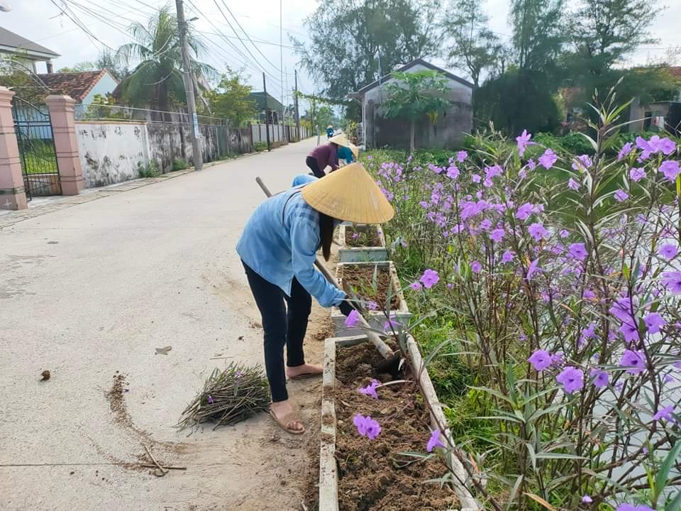 Trồng hoa ven đường nông thôn mới ở Nghệ An, cỏ dại biến mất, hoa hồng, hoa chiều tím tuôn màu, tỏa hương - Ảnh 6.
