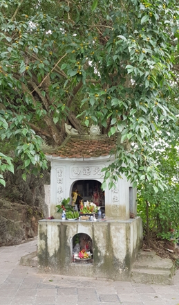 Một ngọn núi nhỏ ở Ninh Bình mà nổi tiếng cả nước, vách đá khắc nhiều bài thơ cổ nhất Việt Nam - Ảnh 6.
