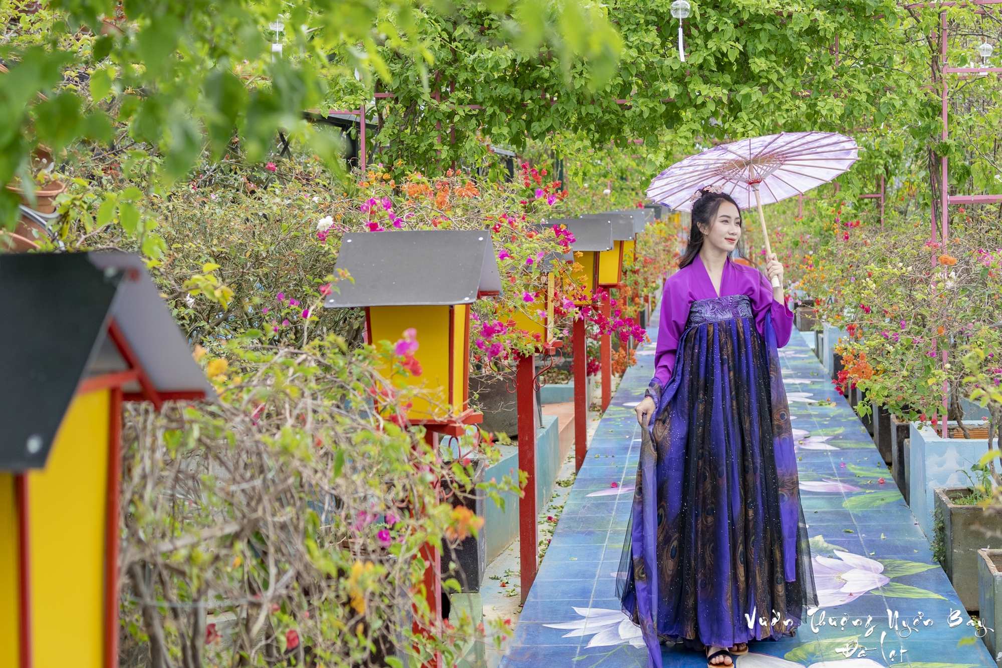 Mãn nhãn khung cảnh trong Vườn thượng uyển bay Đà Lạt, du khách thích thú check in - Ảnh 4.