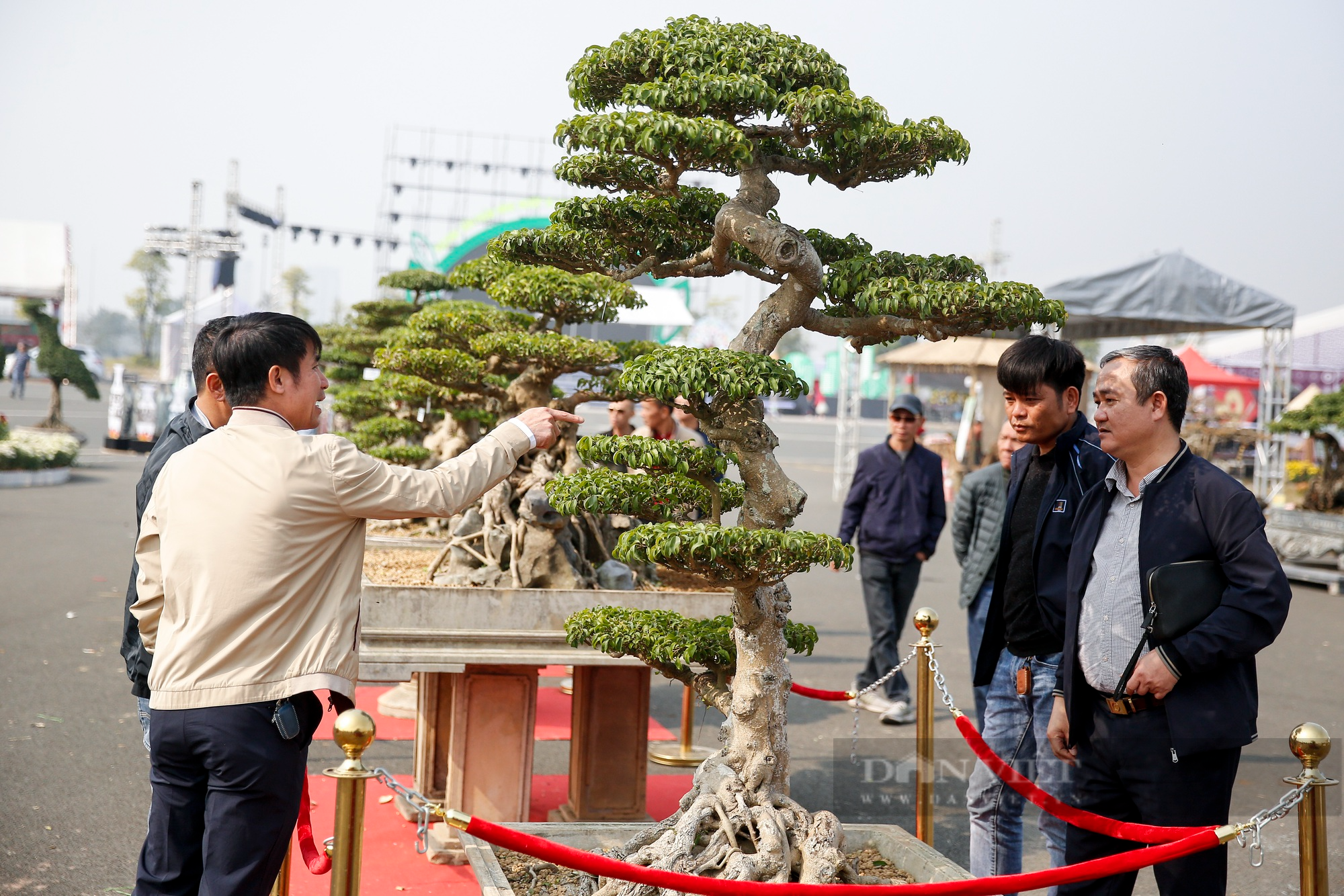 Hàng nghìn tác phẩm sinh vật cảnh - bonsai xuất hiện tại Hà Nội - Ảnh 3.