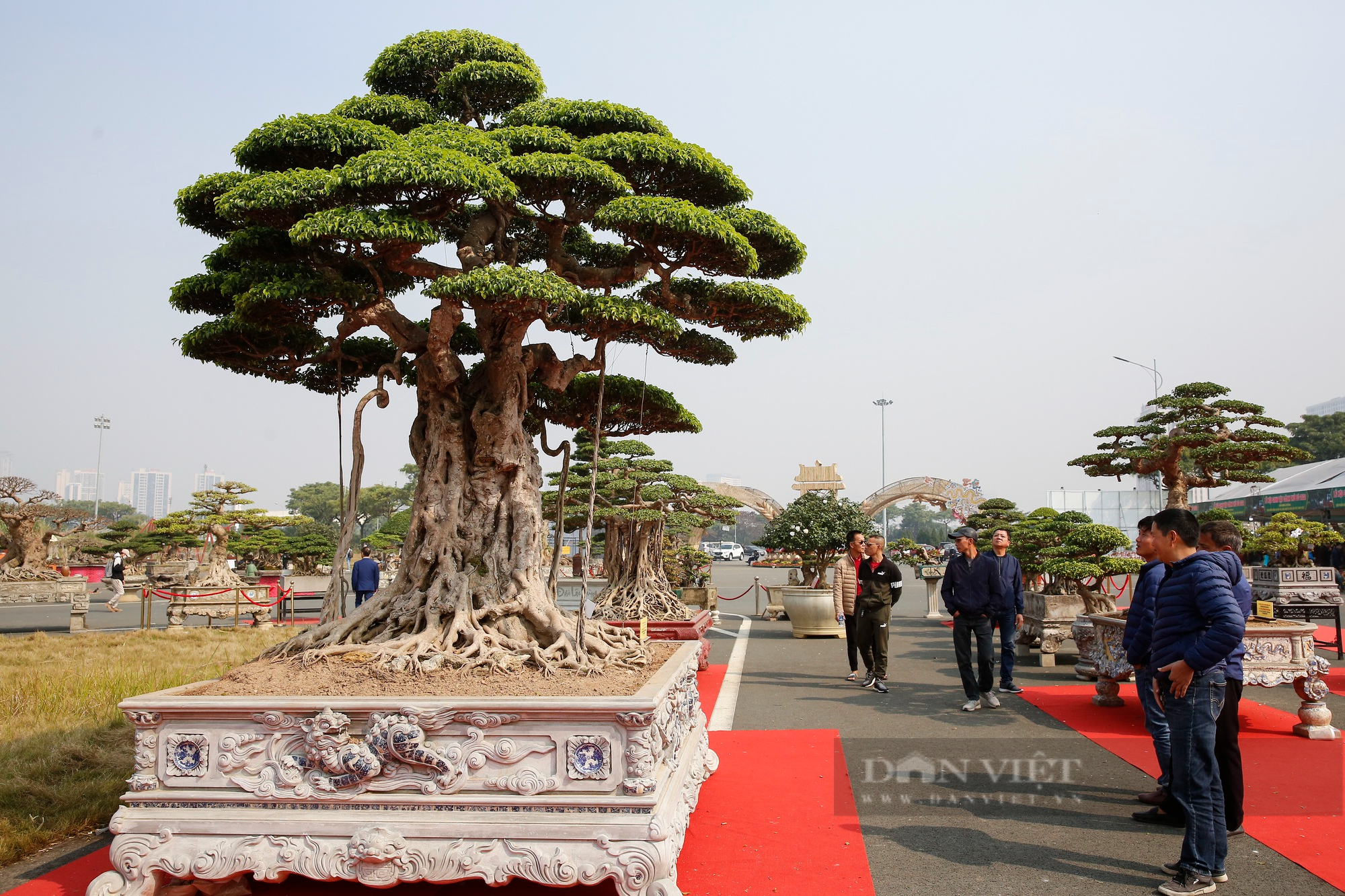 Hàng nghìn tác phẩm sinh vật cảnh - bonsai xuất hiện tại Hà Nội - Ảnh 5.