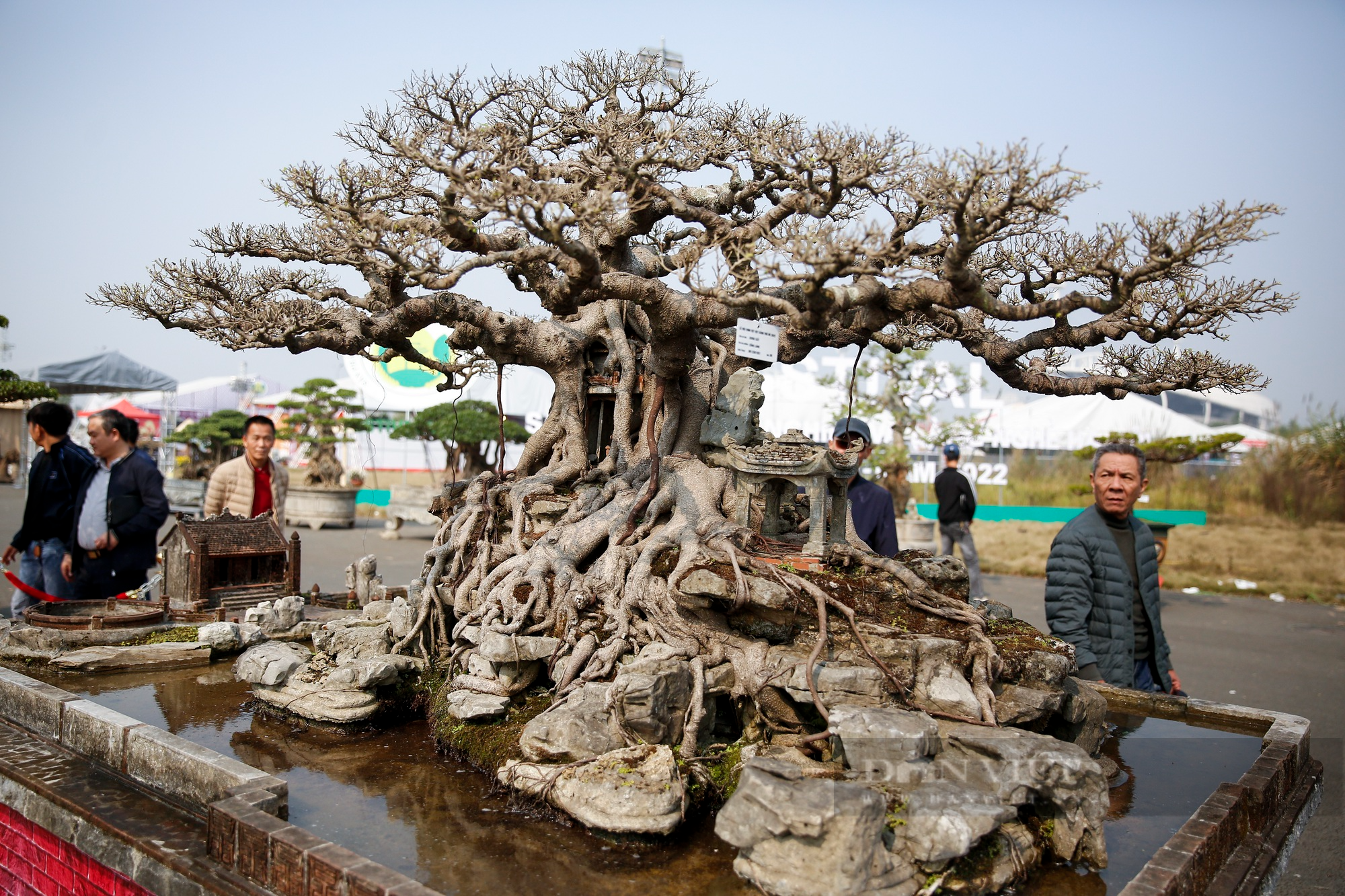 Hàng nghìn tác phẩm sinh vật cảnh - bonsai xuất hiện tại Hà Nội - Ảnh 7.