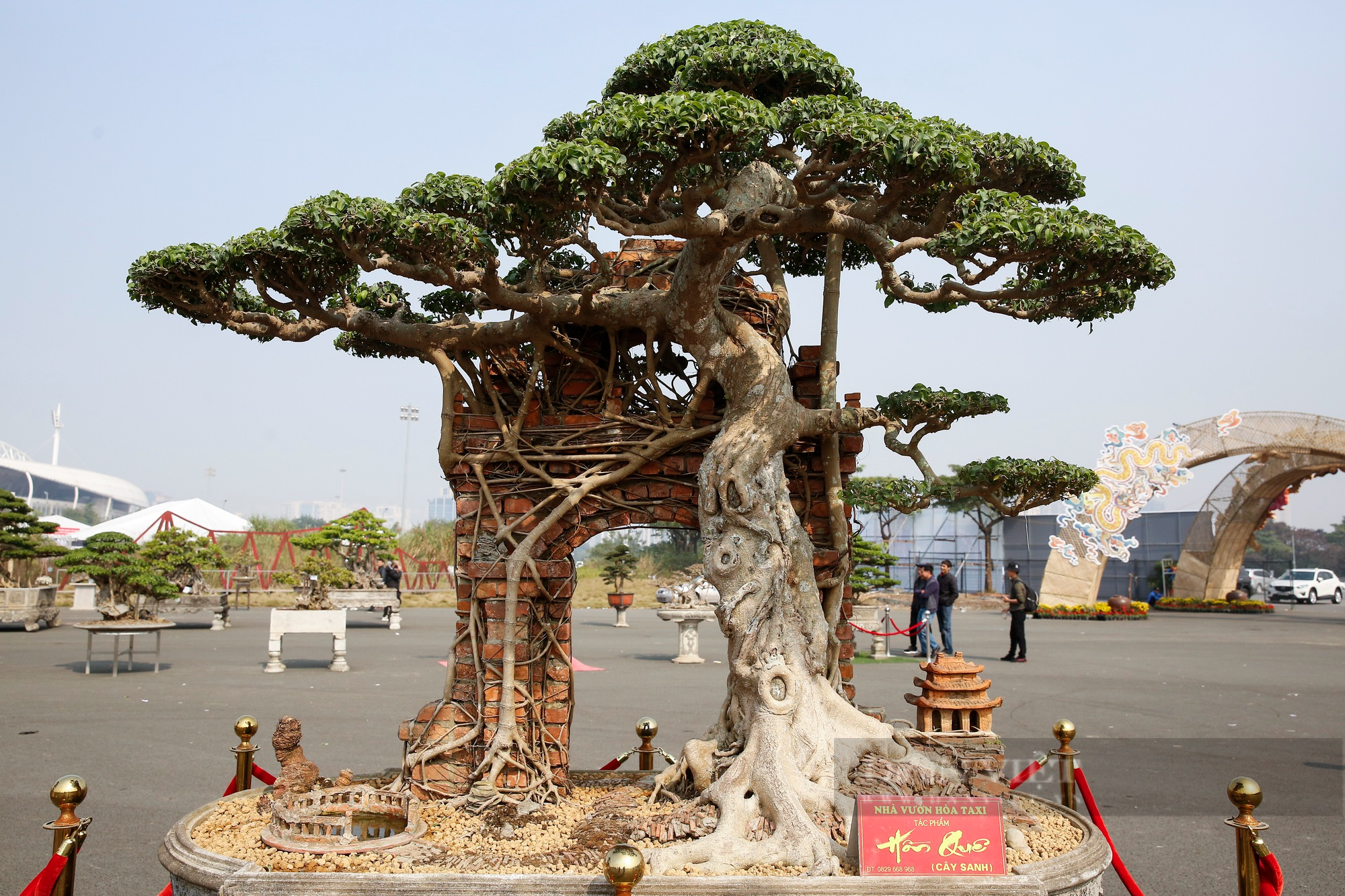 Hàng nghìn tác phẩm sinh vật cảnh - bonsai xuất hiện tại Hà Nội - Ảnh 8.