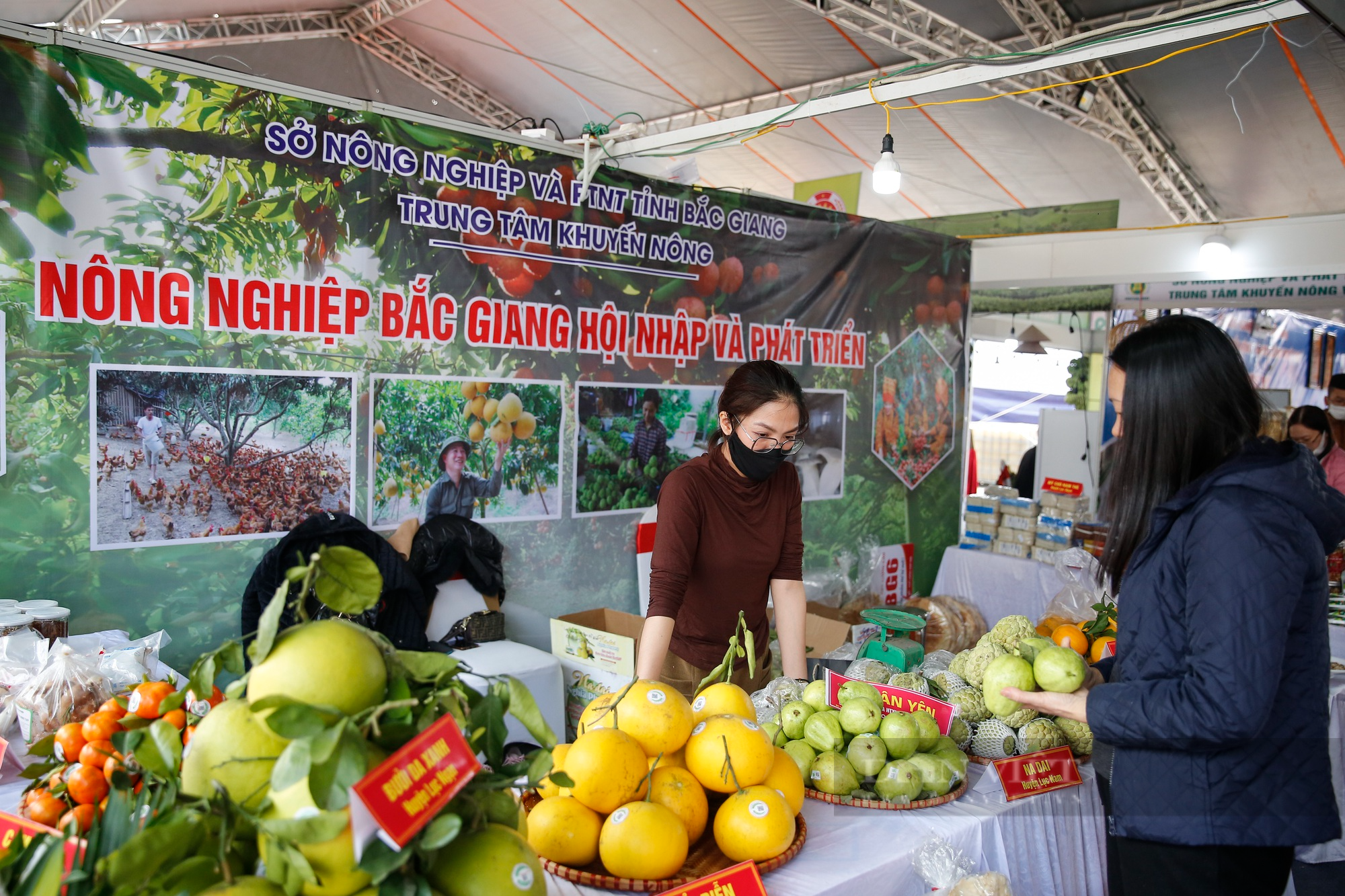 Bát Tràng mang lục bình gốm mạ vàng giá 600 triệu/đôi đến Festival sản phẩm nông nghiệp và làng nghề Hà Nội - Ảnh 6.
