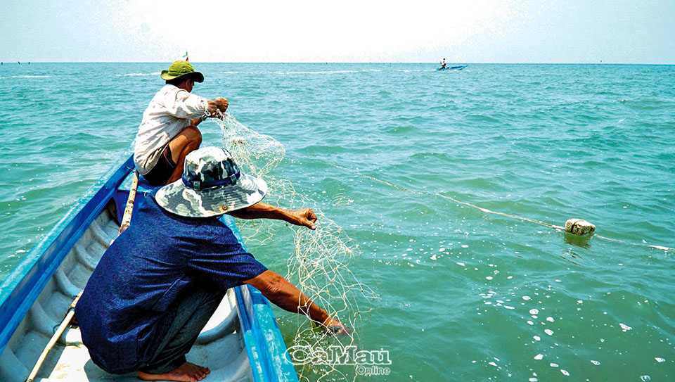 Loài cá biển càng động càng kéo nhau đi săn mồi, dân Cà Mau đánh lưới bắt toàn con to - Ảnh 1.