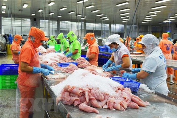 Triển vọng tiêu thụ cá tra Việt Nam tại Mỹ năm 2023 - Ảnh 1.