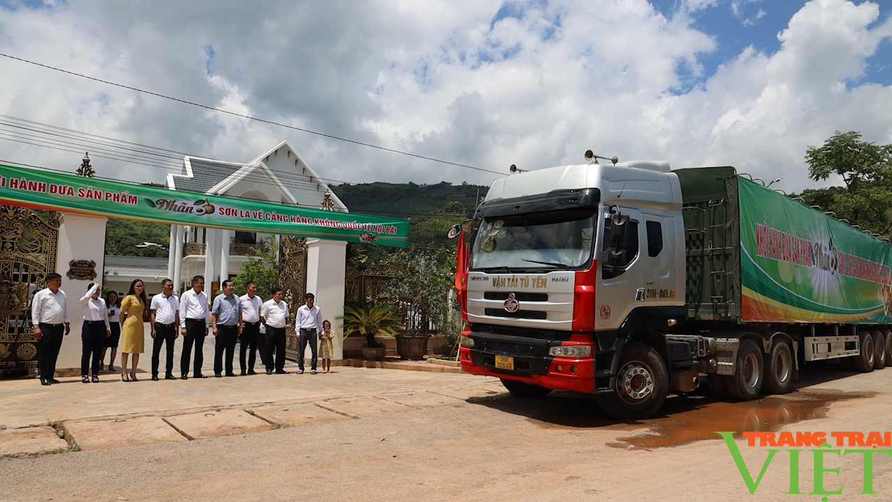 Yên Châu: Hướng đến phát triển cây ăn quả sạch, bền vững - Ảnh 11.