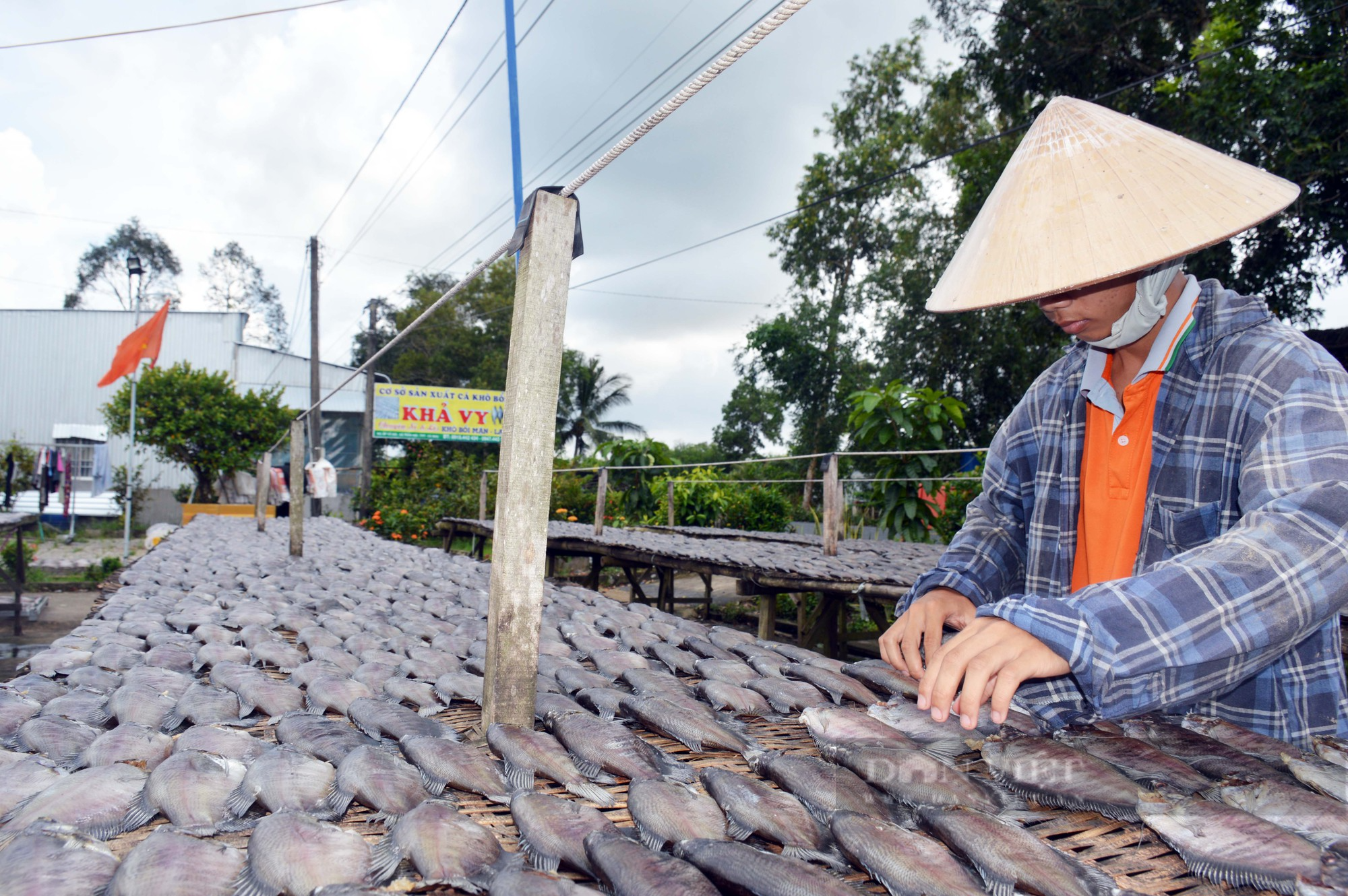 Xuyên đêm làm khô cá bổi phục vụ thị trường Tết - Ảnh 5.