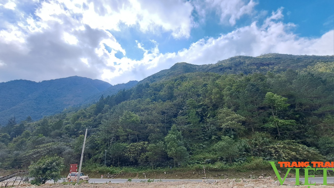 Chi trả dịch vụ môi trường rừng ở Lai Châu: Thêm động lực để người dân giữ gìn và phát triển rừng - Ảnh 2.