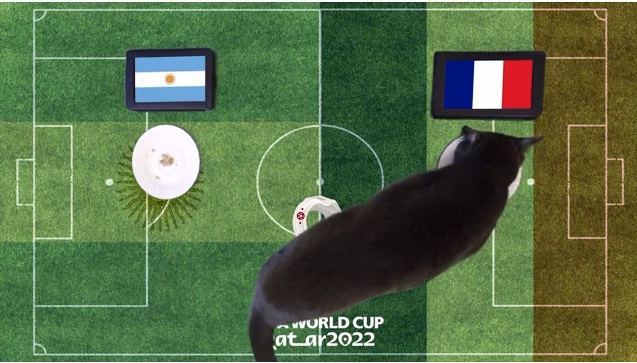 Mèo tiên tri Cass dự đoán kết quả Argentina vs Pháp, 12h ngày 18/12, chung kết World Cup 2022 - Ảnh 3.