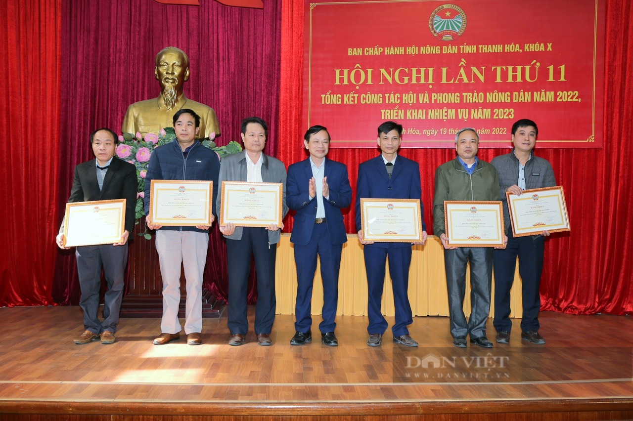 Hội Nông dân Thanh Hoá tiếp tục xây dựng nông thôn mới, đô thị văn minh và giảm nghèo bền vững - Ảnh 2.