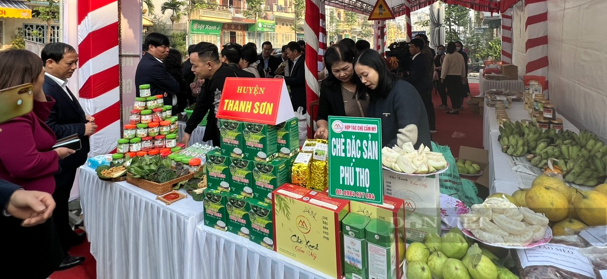 Hội Nông dân Phú Thọ giúp người dân tiêu thụ hơn 100 tấn nông sản - Ảnh 2.