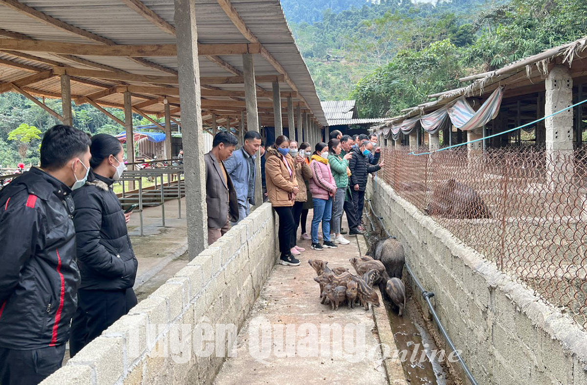 Kết hợp than sinh học với quá trình phân hủy kỵ khí theo quan điểm kinh tế  tuần hoàn nhằm thúc đẩy phát triển nông nghiệp bền vững ở đồng bằng sông