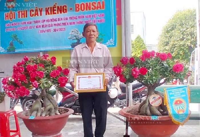 Làm sứ bonsai kiểu “không đụng hàng”, đẹp dị thường, ông nông dân khiến vạn người mắt chữ a, mồn chữ o - Ảnh 5.