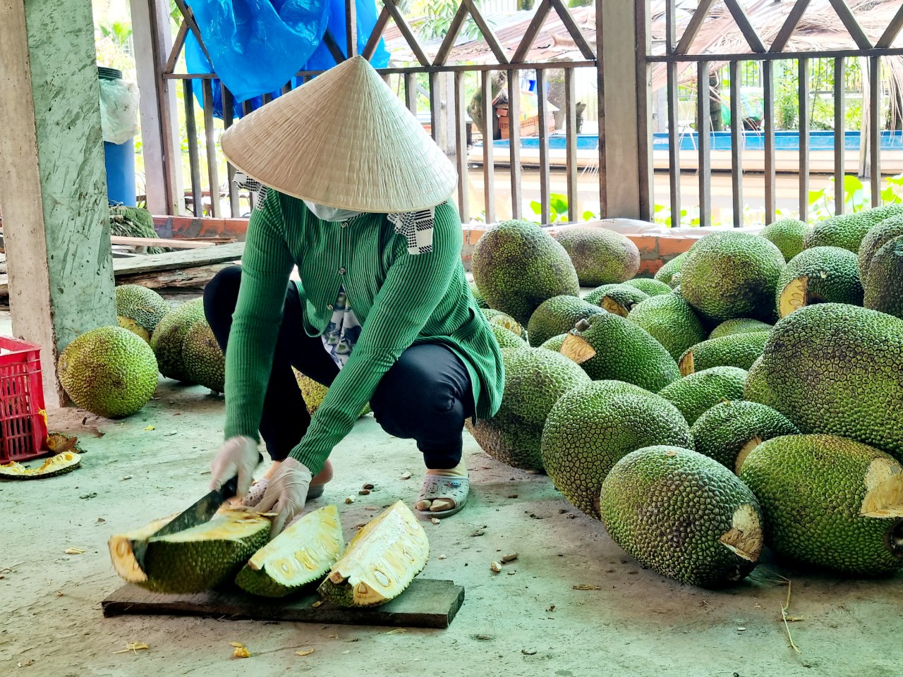 Nữ nông dân Hậu Giang nuôi dê lấy sữa làm nên 3 sản phẩm OCOP   - Ảnh 3.