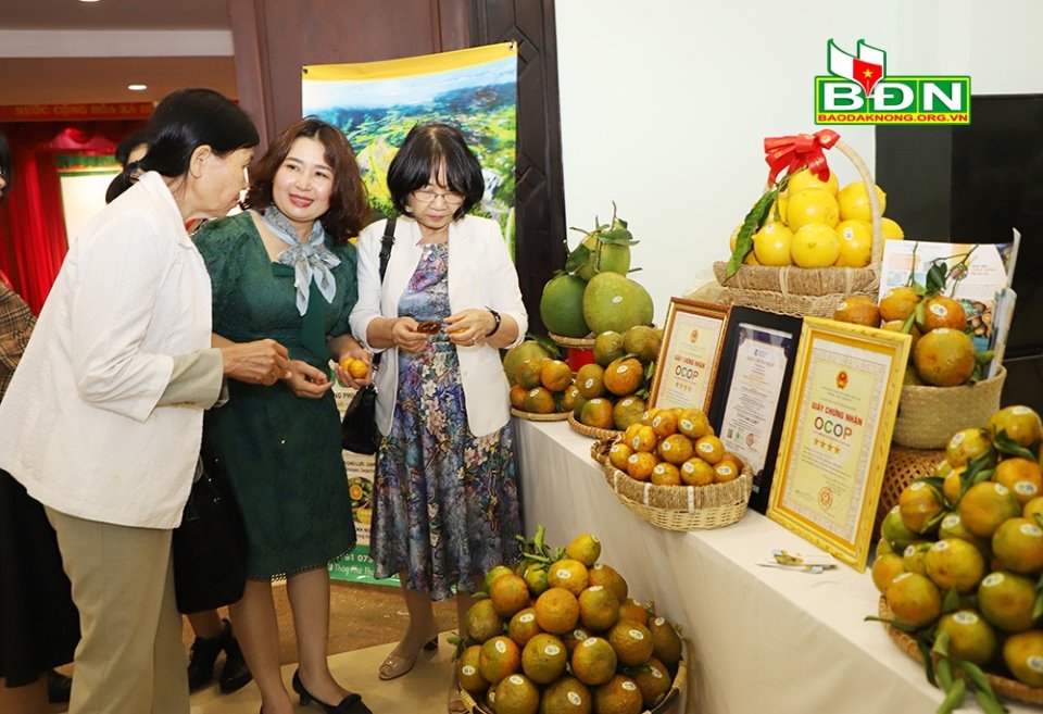 Loại quả ngon này khi trồng trên đất núi lửa ở Đắk Nông trông trái nào đẹp, nhìn là thèm - Ảnh 3.