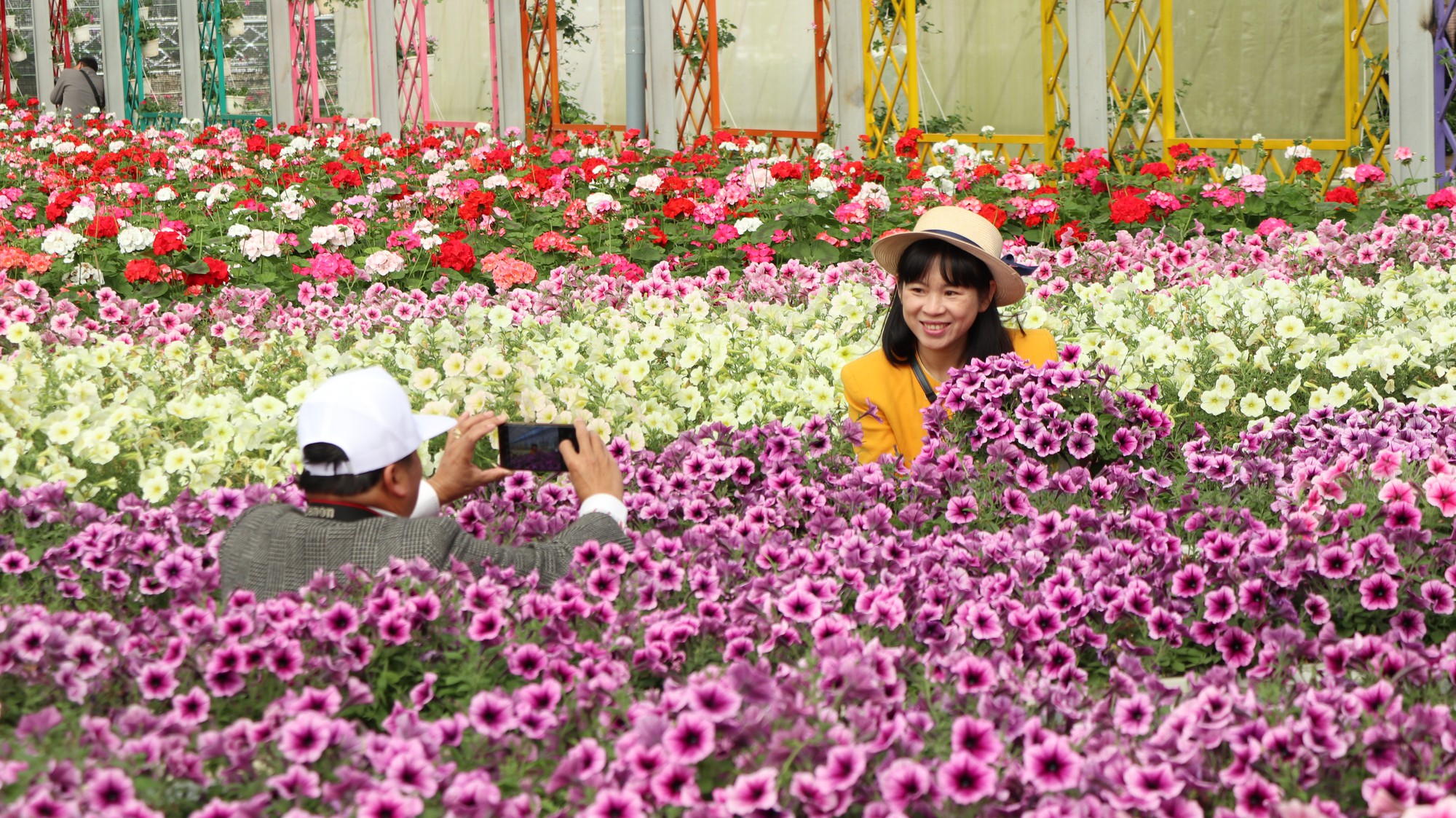 Hơn 370 tỷ đồng phát triển du lịch canh nông tại Lâm Đồng - Ảnh 3.