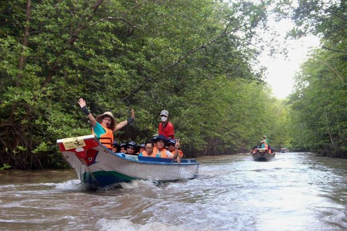 Rừng ngập mặn nào của Việt Nam hệ sinh thái đa dạng thứ 2 thế giới, rừng này thuộc địa phận tỉnh nào? - Ảnh 1.