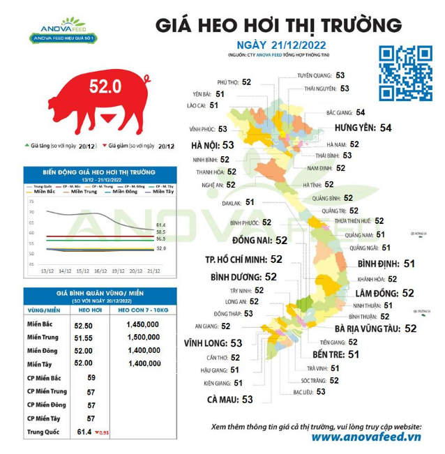 Giá lợn hơi đi ngang trên diện rộng, người nuôi hết hy vọng lên giá - Ảnh 2.