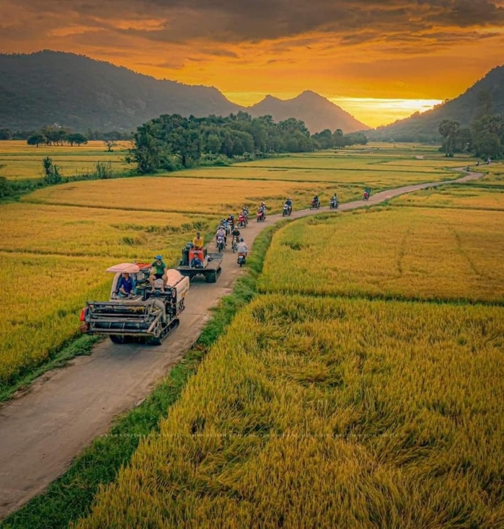 Cánh đồng Tà Pạ đẹp lạ như phim, dân mạng đang &quot;phát sốt&quot; tìm xem ở tỉnh nào của miền Tây - Ảnh 5.