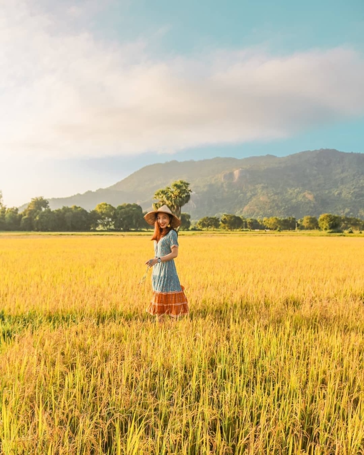 Cánh đồng Tà Pạ đẹp lạ như phim, dân mạng đang &quot;phát sốt&quot; tìm xem ở tỉnh nào của miền Tây - Ảnh 7.