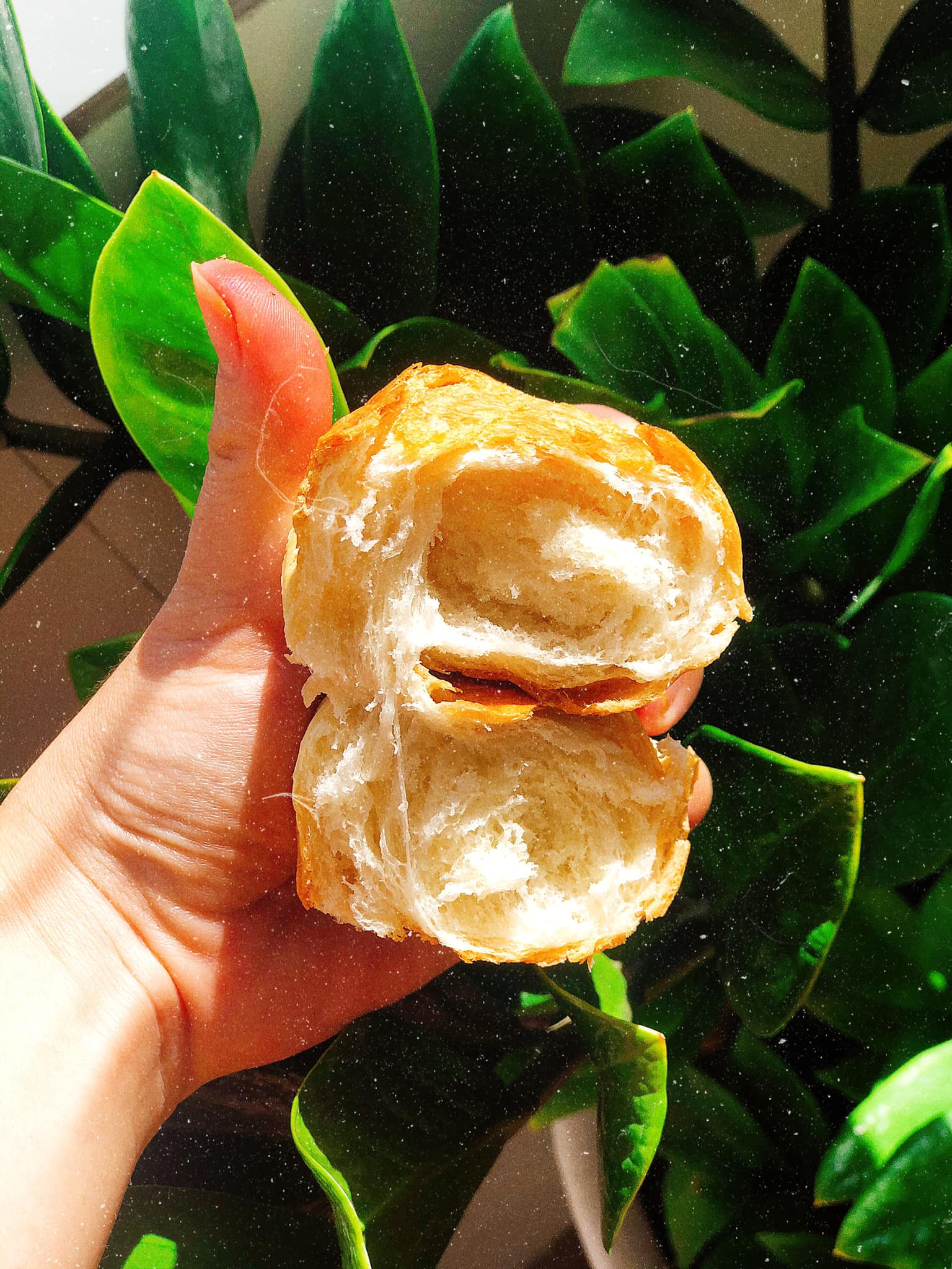 Bật mí cách làm bánh mì Việt Nam đơn giản, thành công ngay từ lần đầu tiên - Ảnh 3.