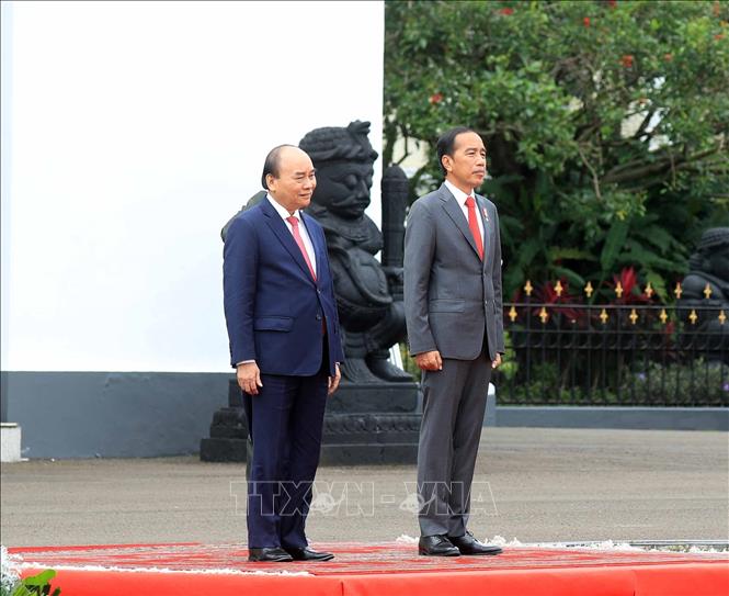 Tổng thống Indonesia đón Chủ tịch nước Nguyễn Xuân Phúc thăm cấp nhà nước - Ảnh 3.
