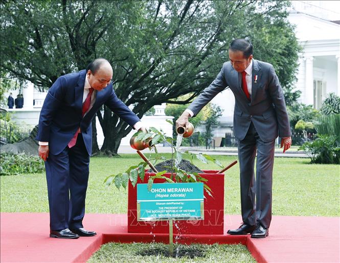 Tổng thống Indonesia đón Chủ tịch nước Nguyễn Xuân Phúc thăm cấp nhà nước - Ảnh 7.