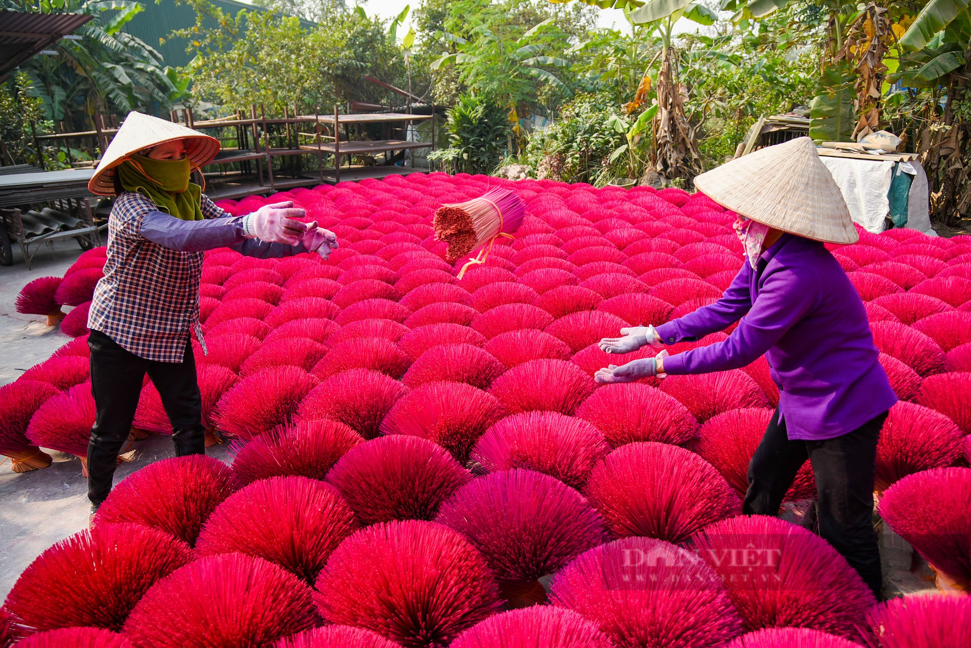 Du khách quốc tế thích thú check in cùng những &quot;bó hoa đỏ&quot; ở làng hương Quảng Phú Cầu - Ảnh 5.